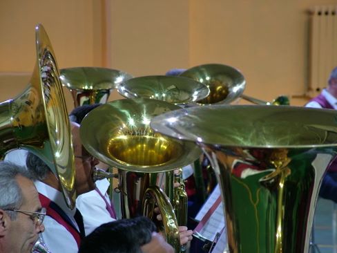 bassi1.jpg